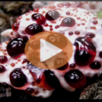 ikaria juice